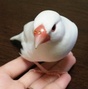 ことり事務所