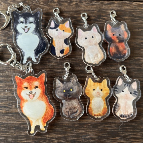 出店イメージ5