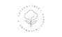 cotton tree candle