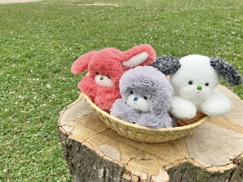出店イメージ1